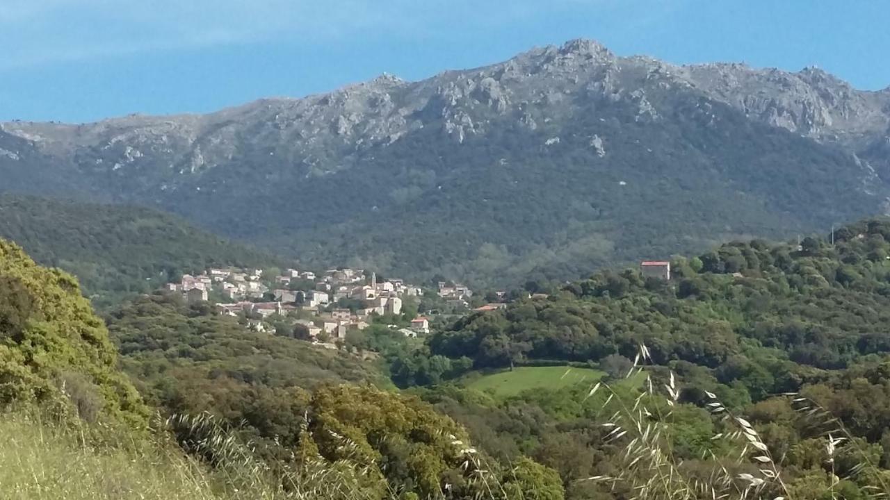 Corsica Monti Gite Appart Petreto-Bicchisano Exteriér fotografie